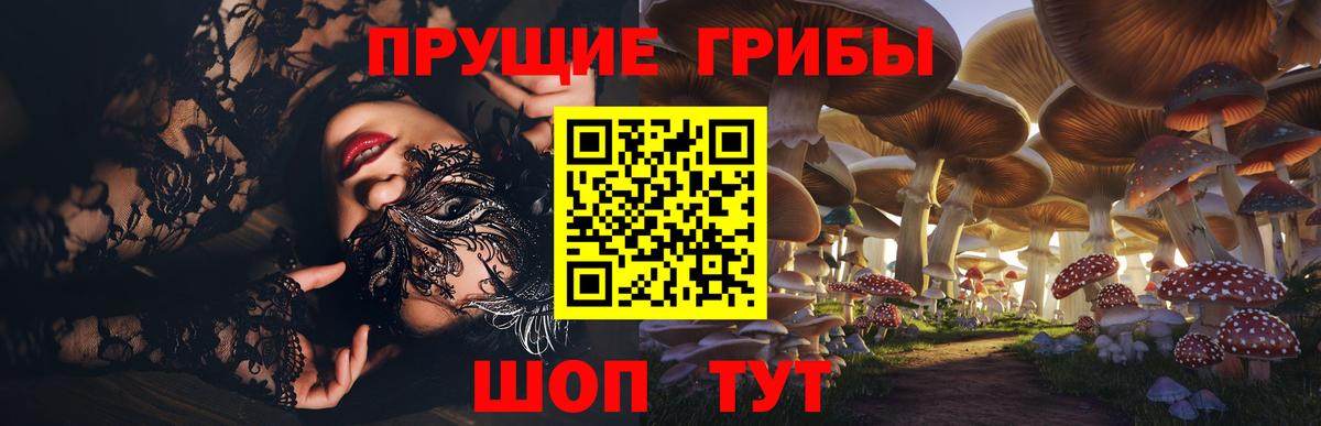 Котовск  Псилоцибиновые грибы ЛСД  купить наркоту  Псилоцибиновые грибы Magic Shrooms  Вход с VPN 